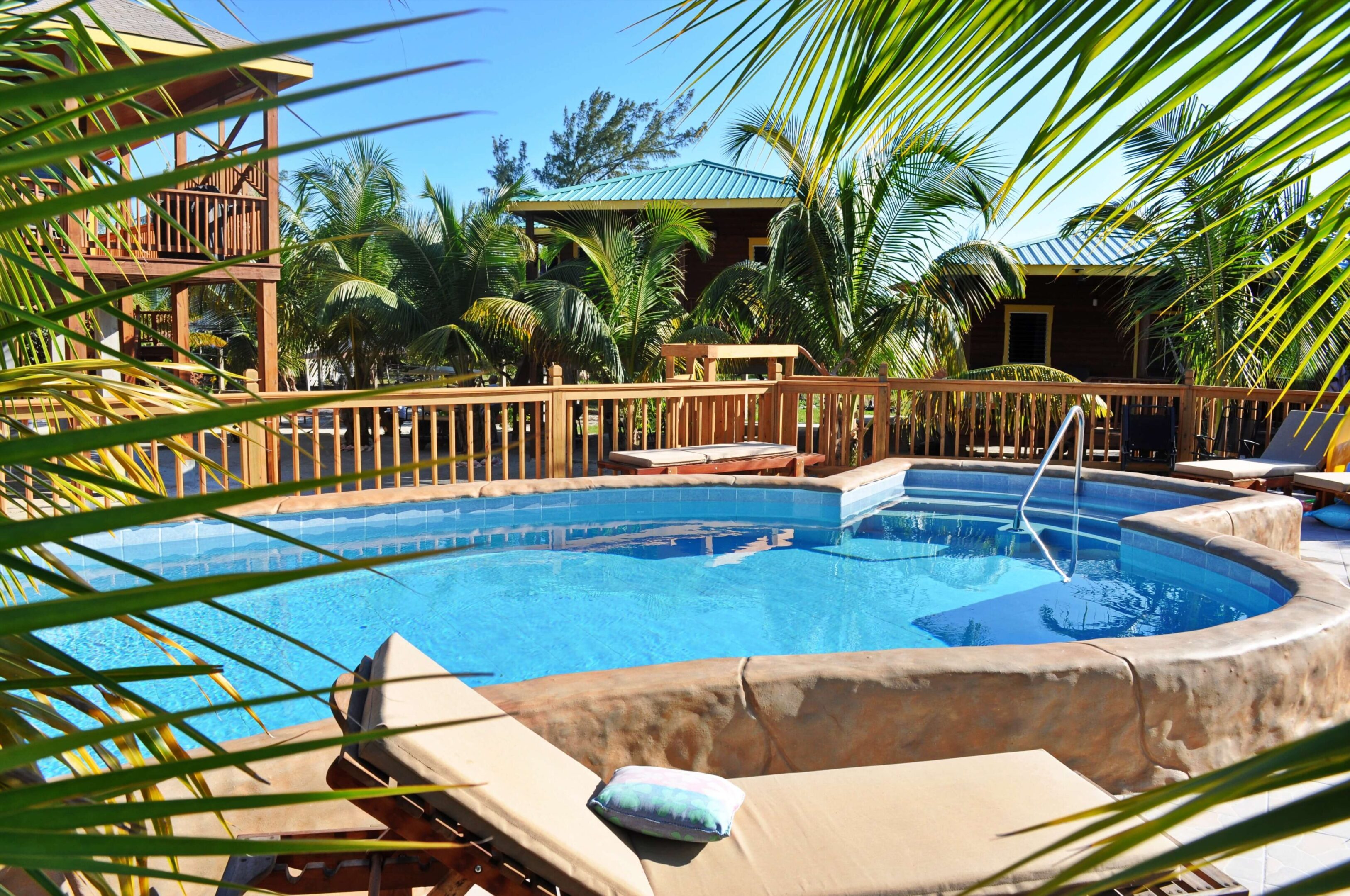 Tropical poolside with palm trees and loungers.
