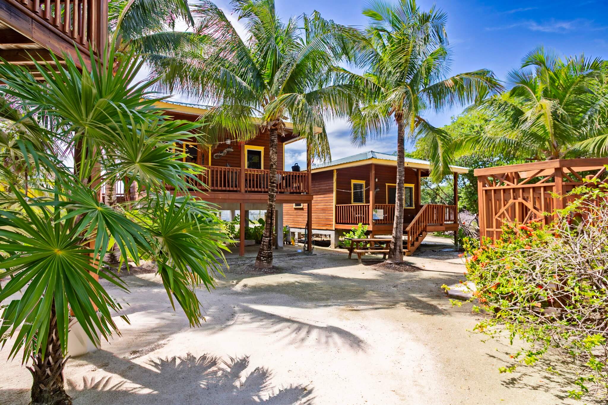 Tropical wooden cabins surrounded by palm trees.