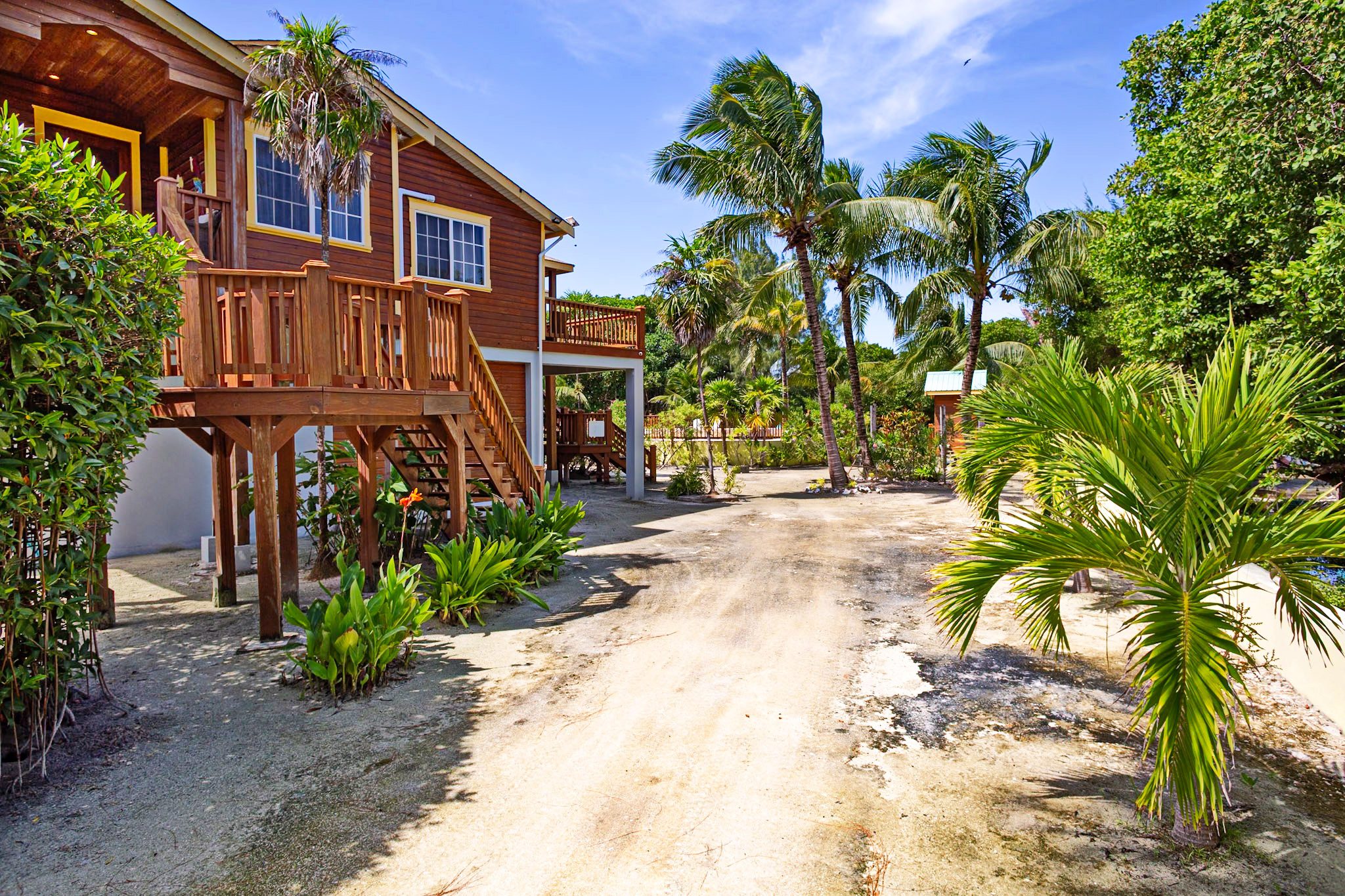 Tropical house with palm trees and garden.
