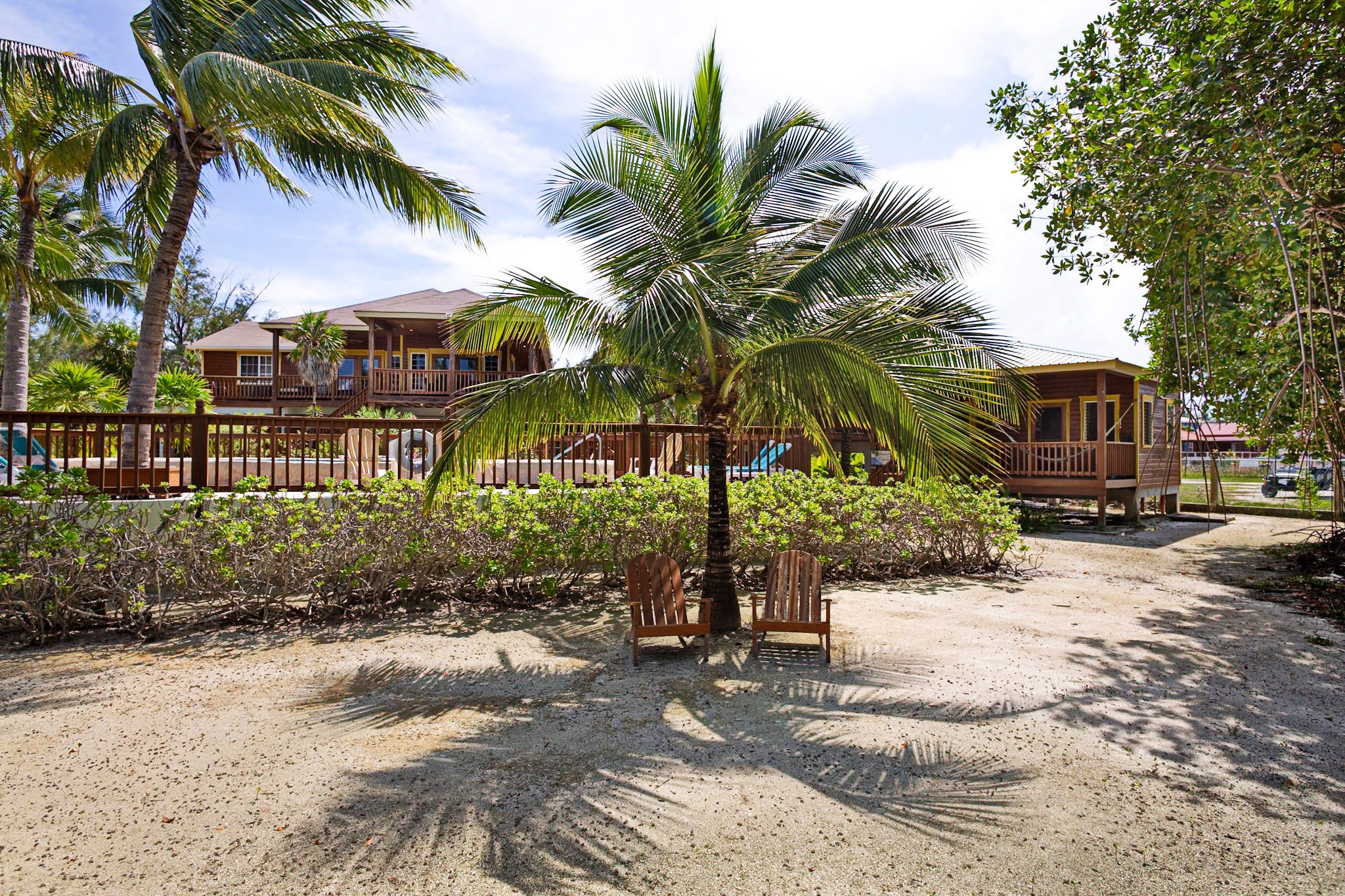 Tropical scene with palm tree and chairs.