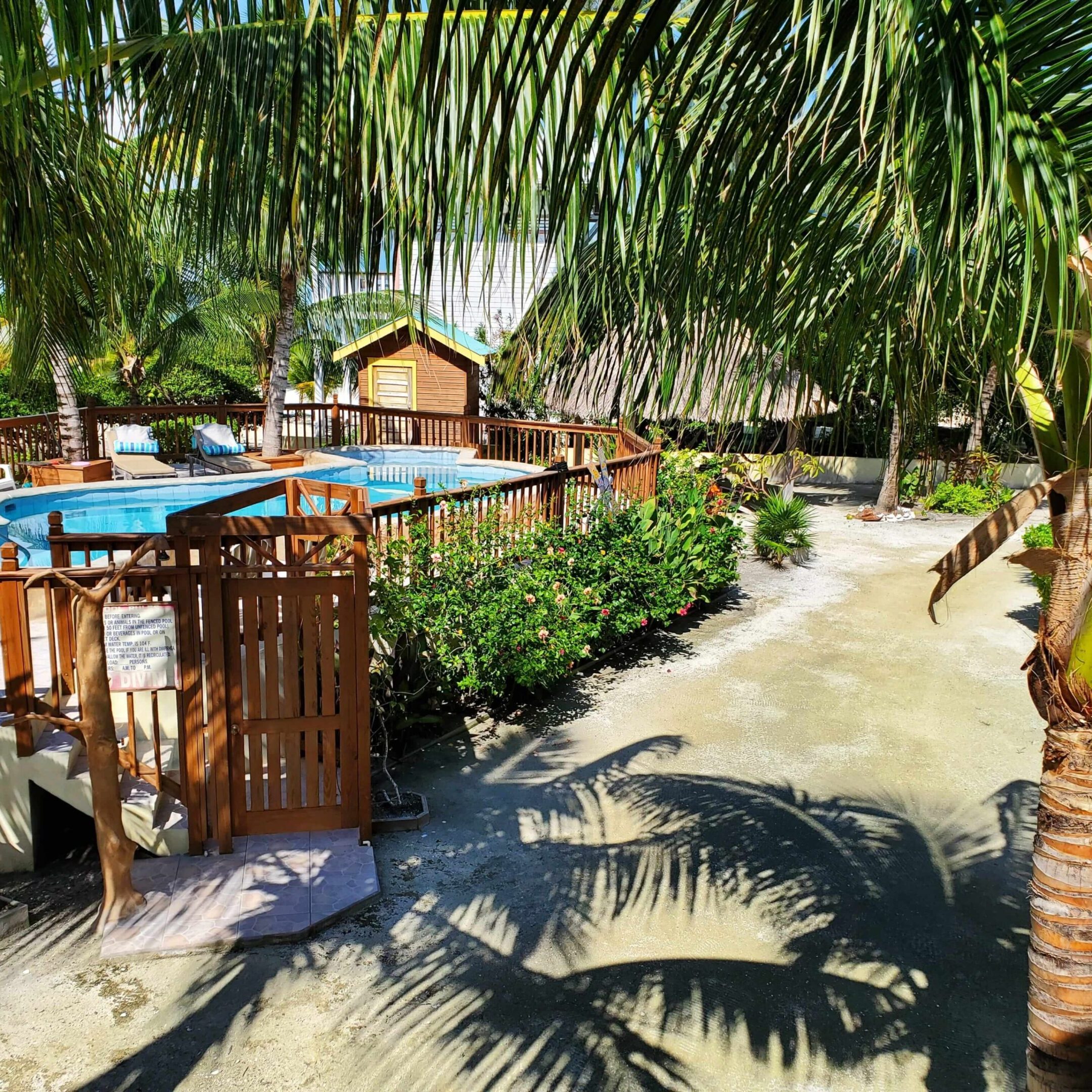 Tropical pool area with palm trees.