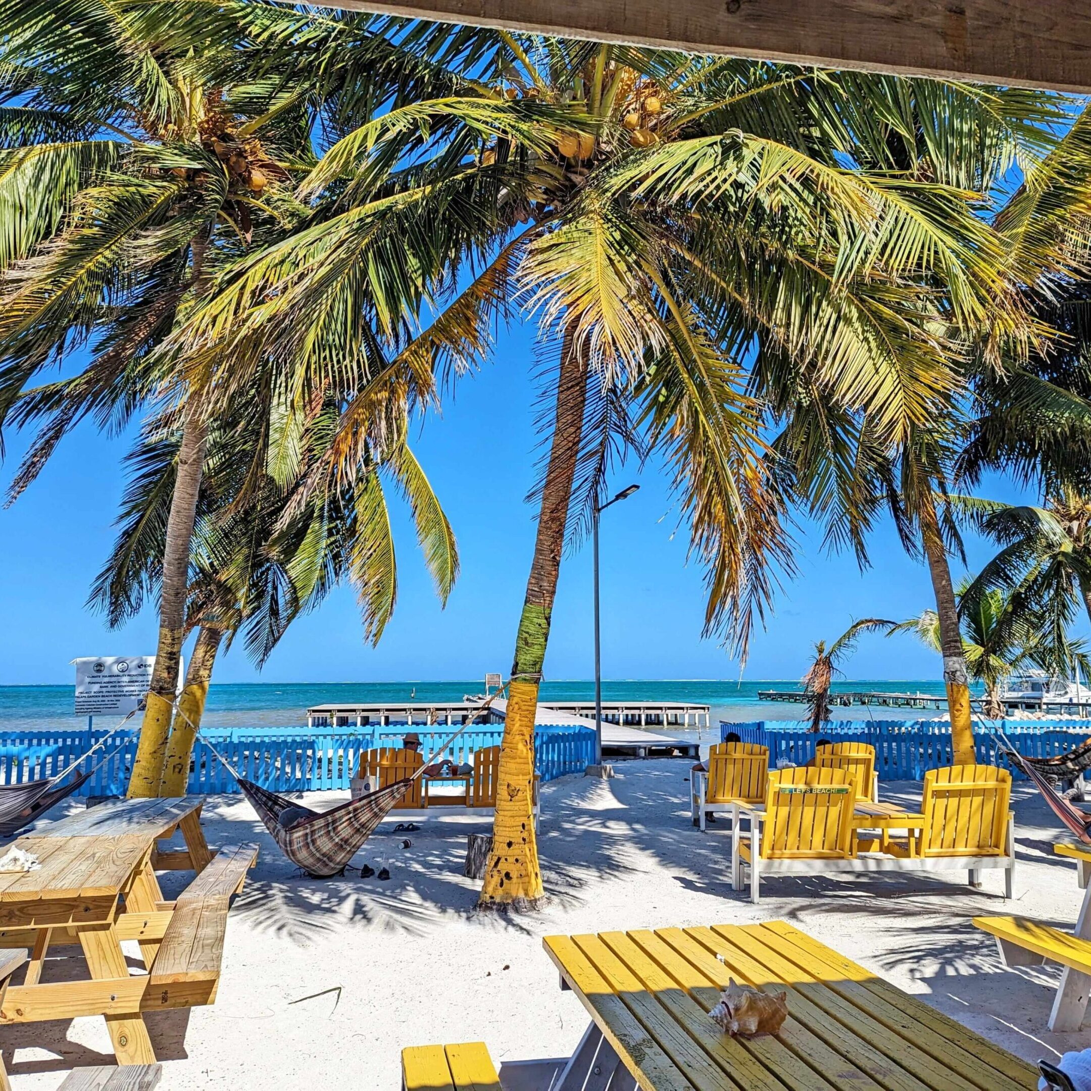 Beachside picnic tables under palm trees.